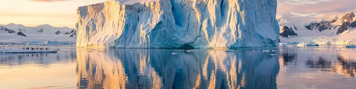 Antarctica banner
