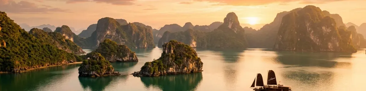 Vietnam banner