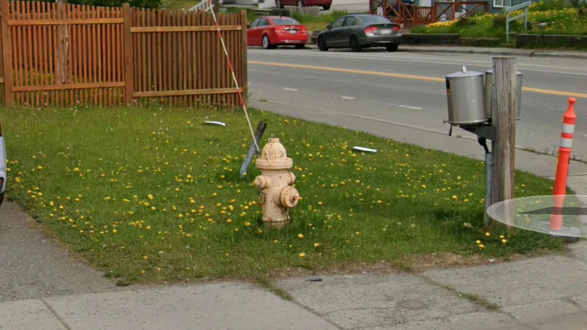 安克拉治消防栓顏色