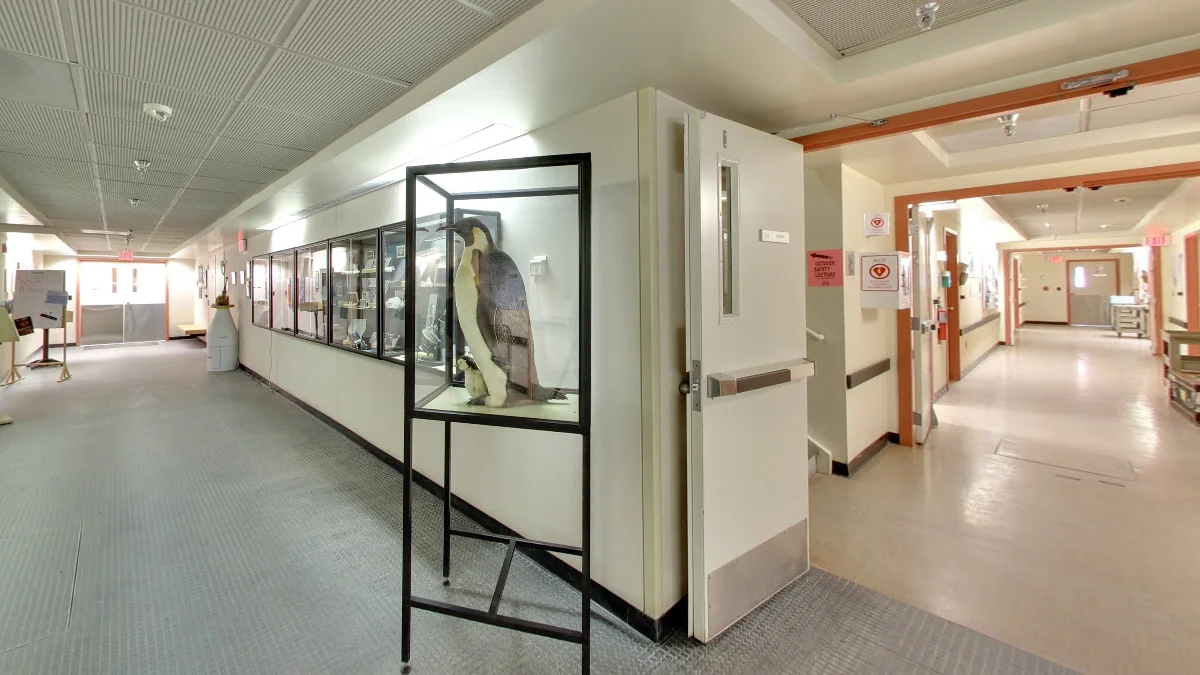 麥克默多站東南：冰上機械與拍攝者