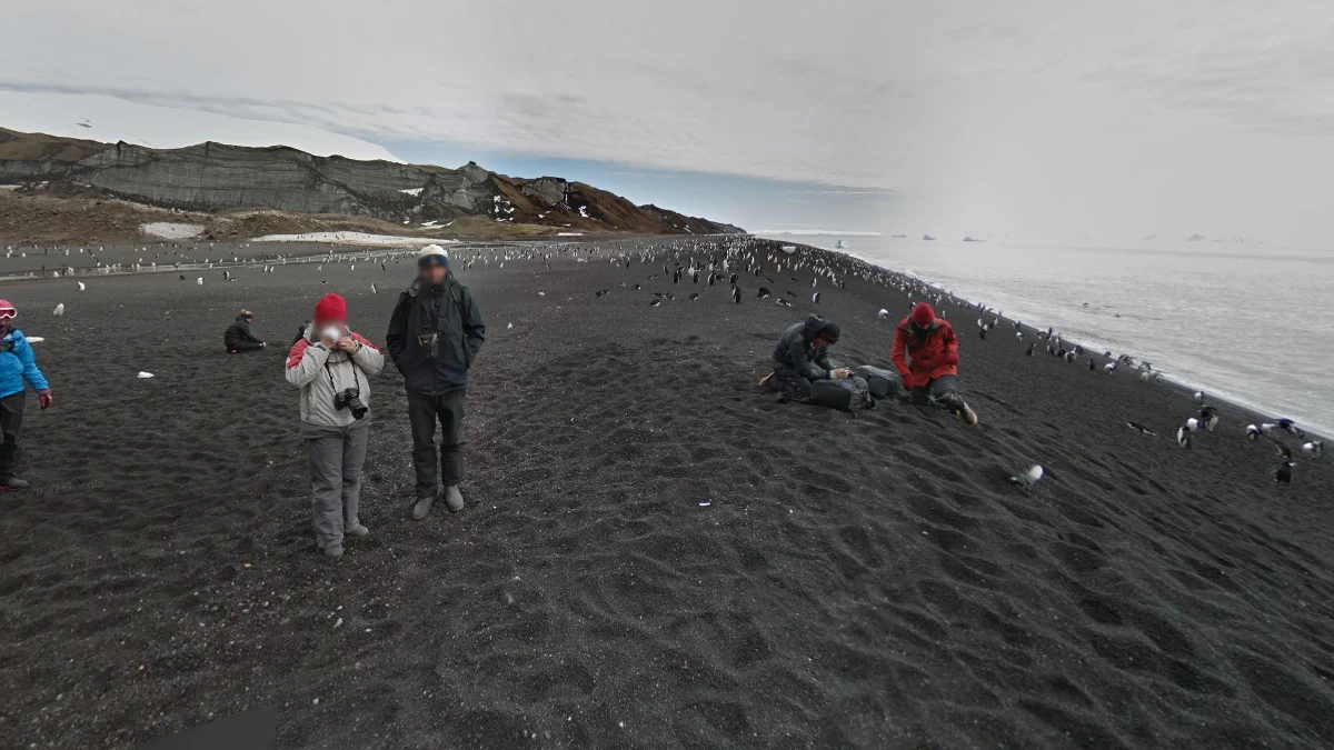 欺騙島：黑沙灘與企鵝群