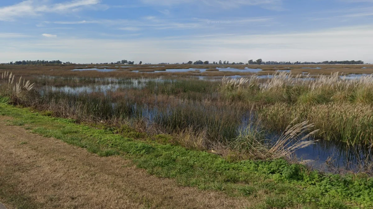 聖路易斯紅色路面