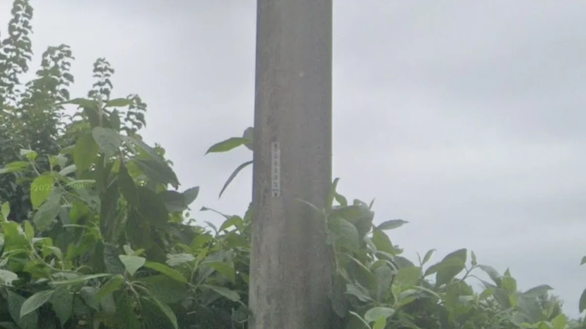 圖庫曼電桿貼紙