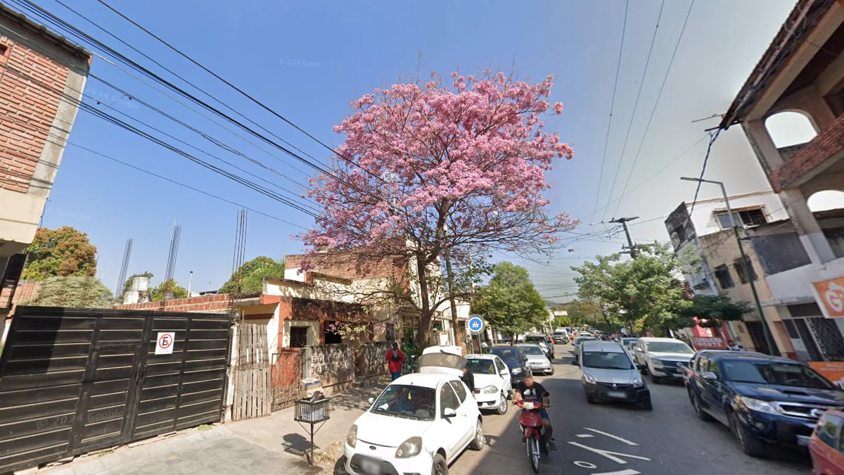 薩爾塔粉紅風鈴木