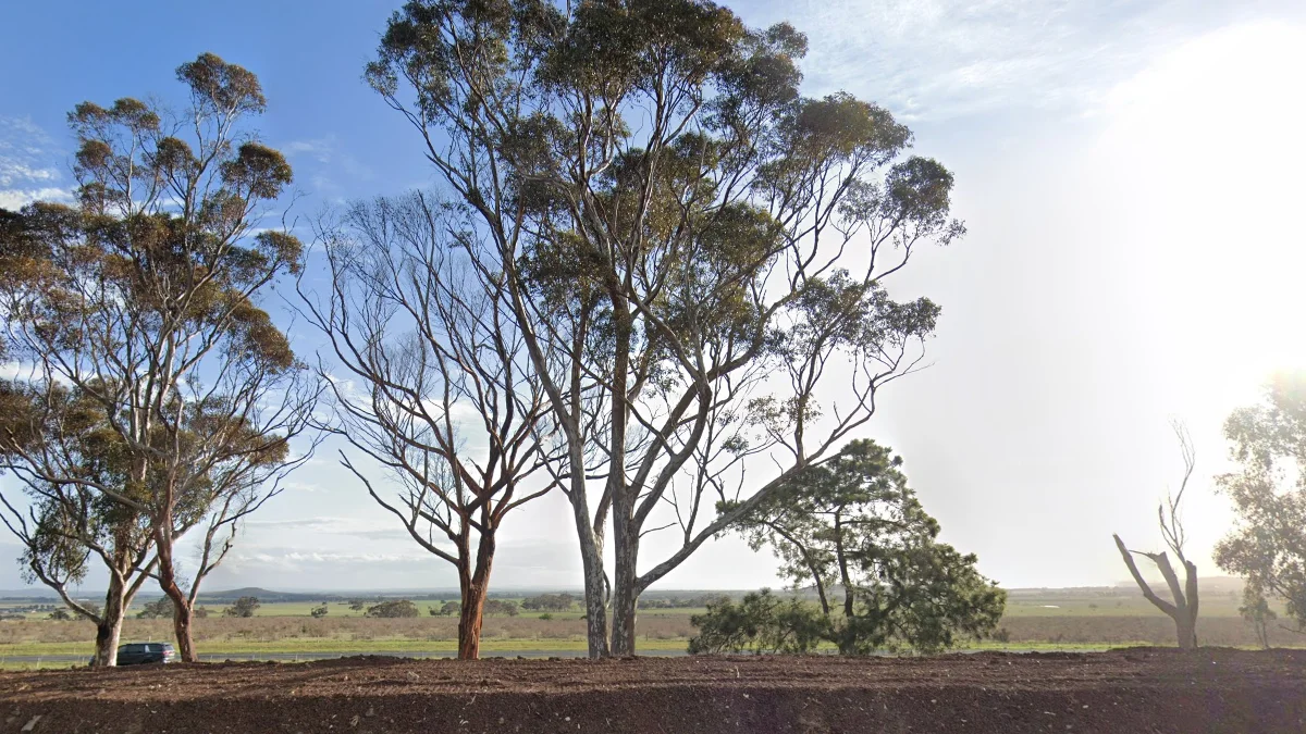 澳洲綜合辨識線索