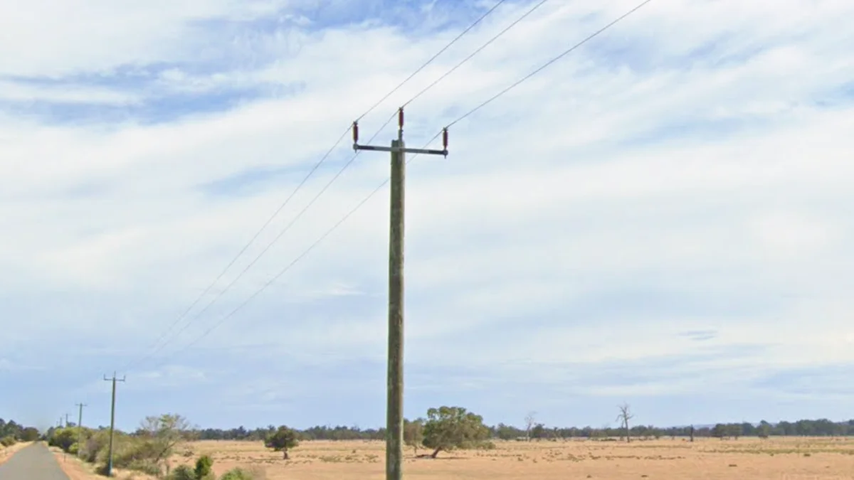 西澳/維多利亞三叉戟桿頂