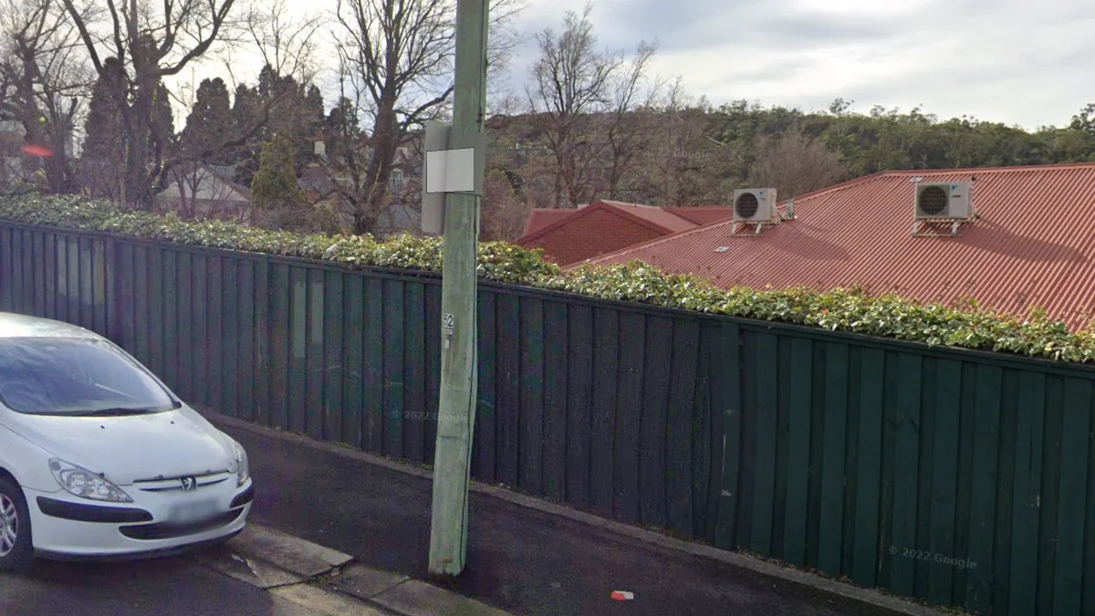 塔斯馬尼亞橄欖綠負鼠防護罩