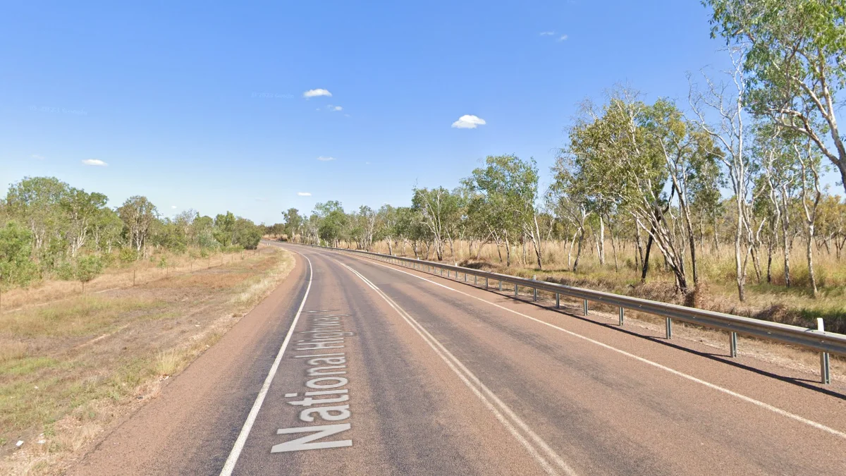 達爾文獨特植被與土壤