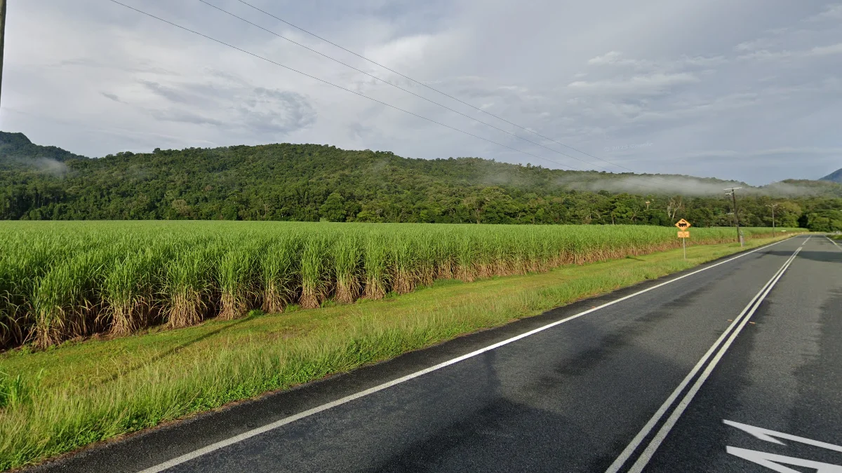 昆士蘭北部甘蔗種植園