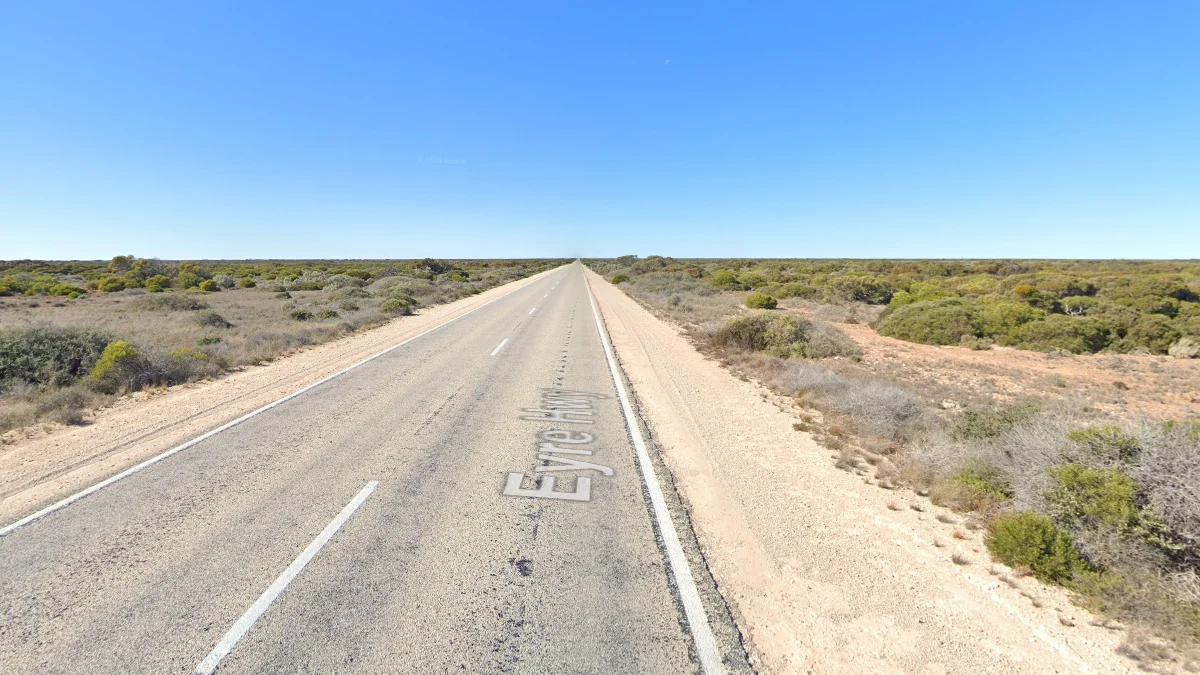 納拉伯公路低矮植被