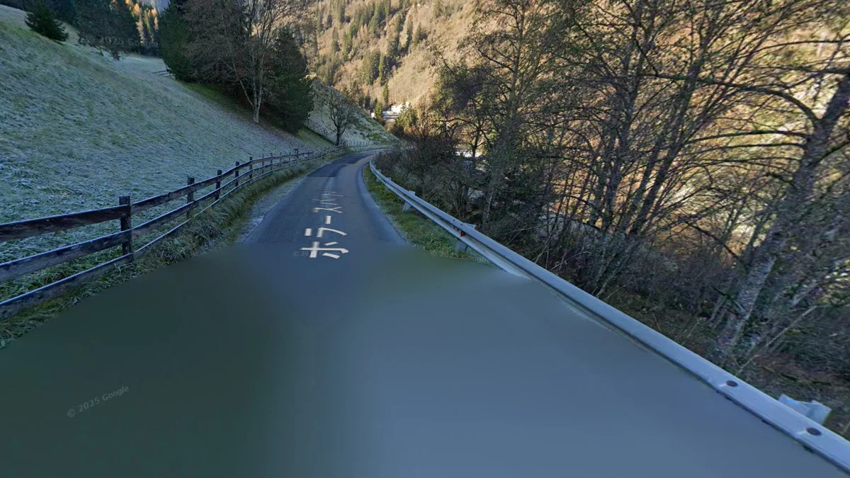 德語區街景車元數據