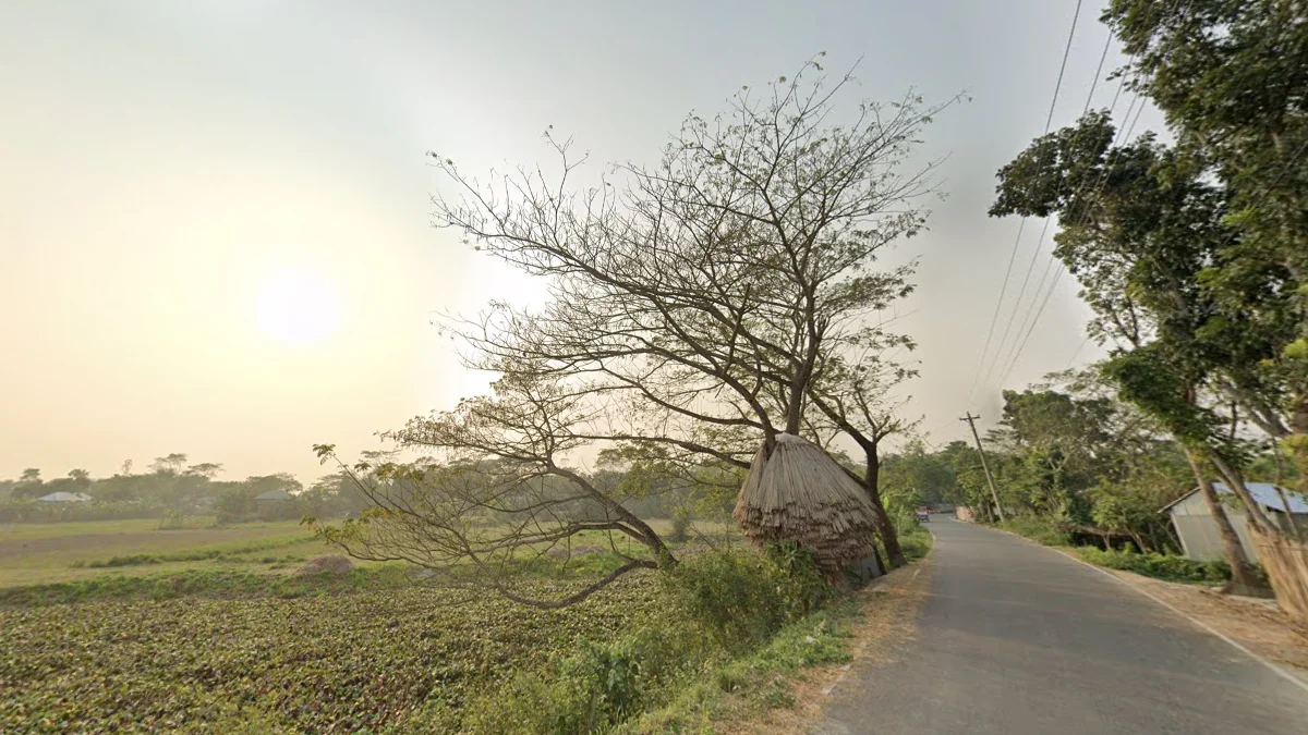 四代車煙霧感街景