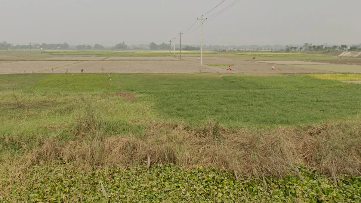休耕期空曠稻田