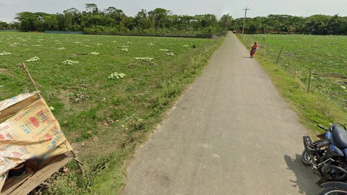 巴里薩爾西瓜田