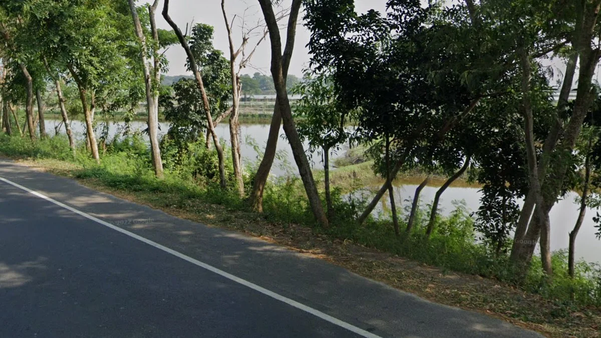 路旁水體與農田