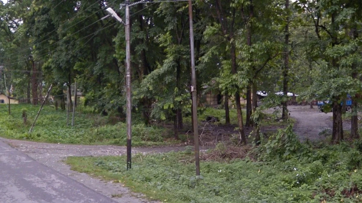 細長底部塗黑金屬桿