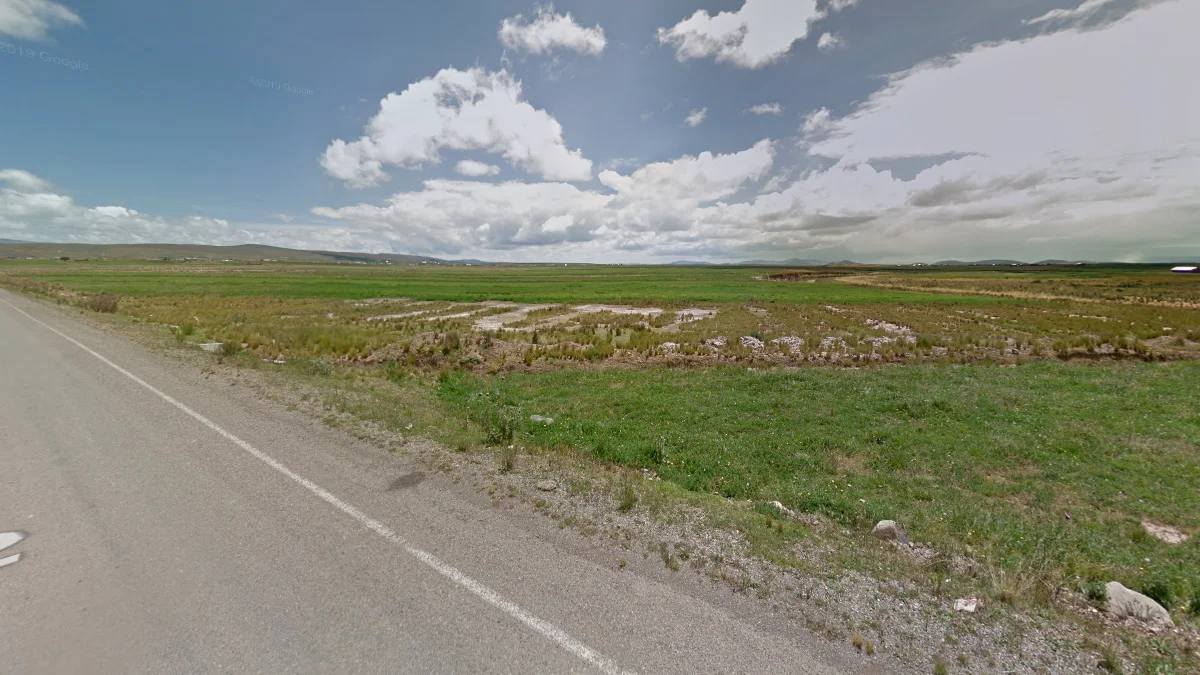 阿爾蒂普拉諾北部草原