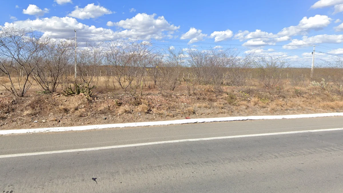 東北部卡廷加景觀
