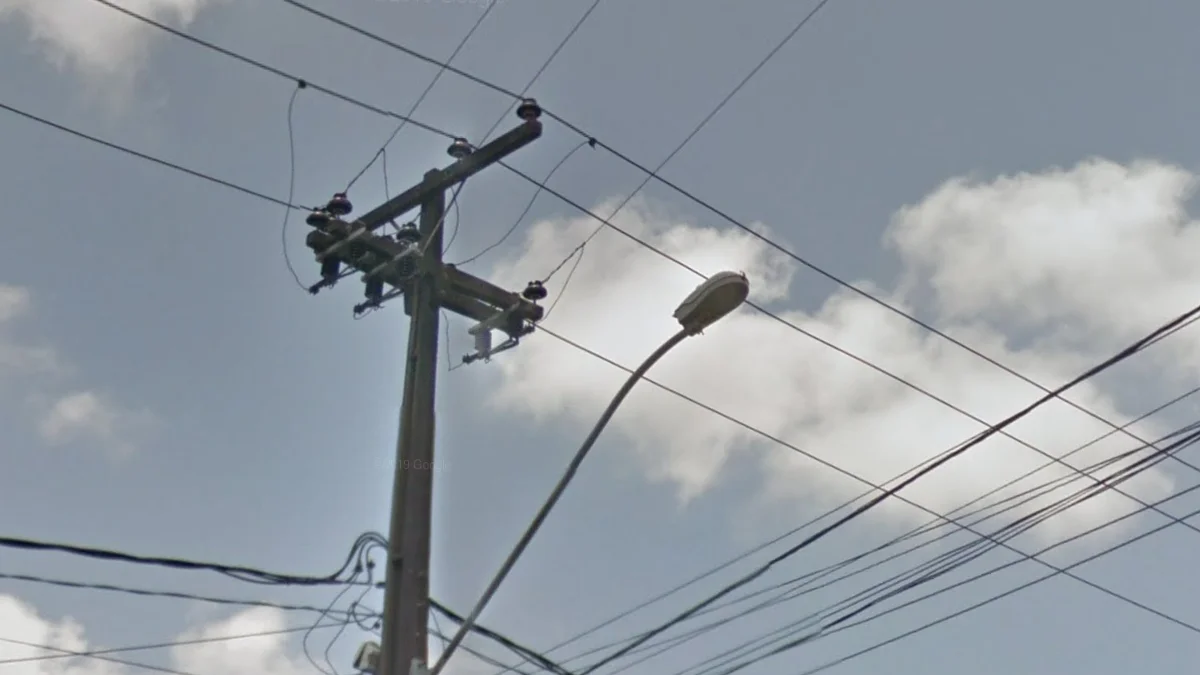 棕色蘑菇狀絕緣體