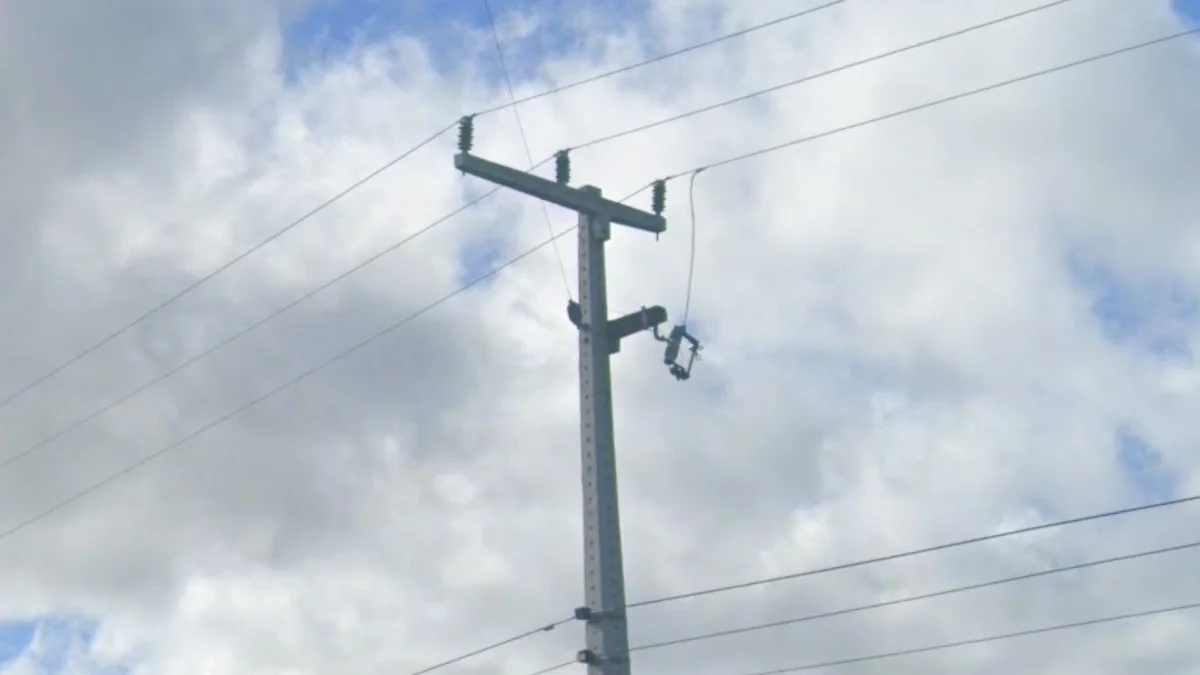 塞阿拉州長細絕緣體