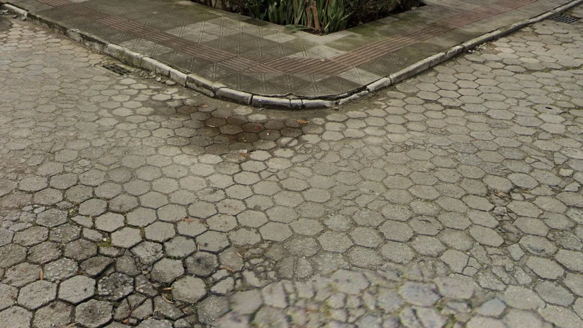 六角形混凝土磚路