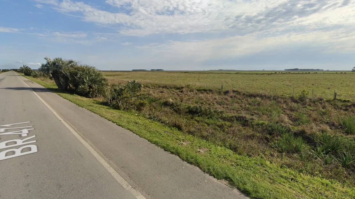 南大河州沿海濕地