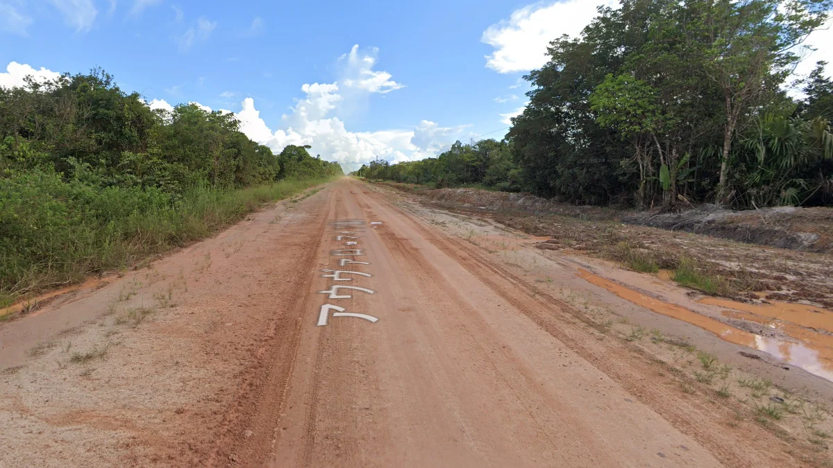 亞馬遜州319號公路