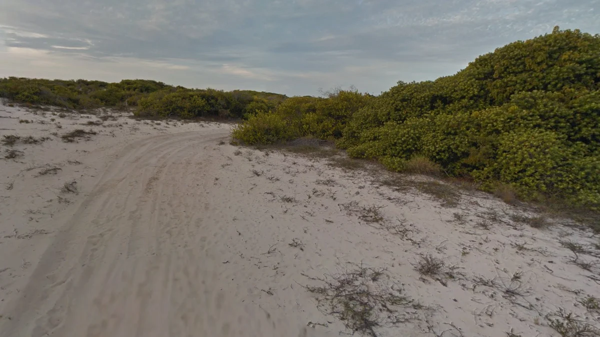 馬拉尼昂國家公園沙丘