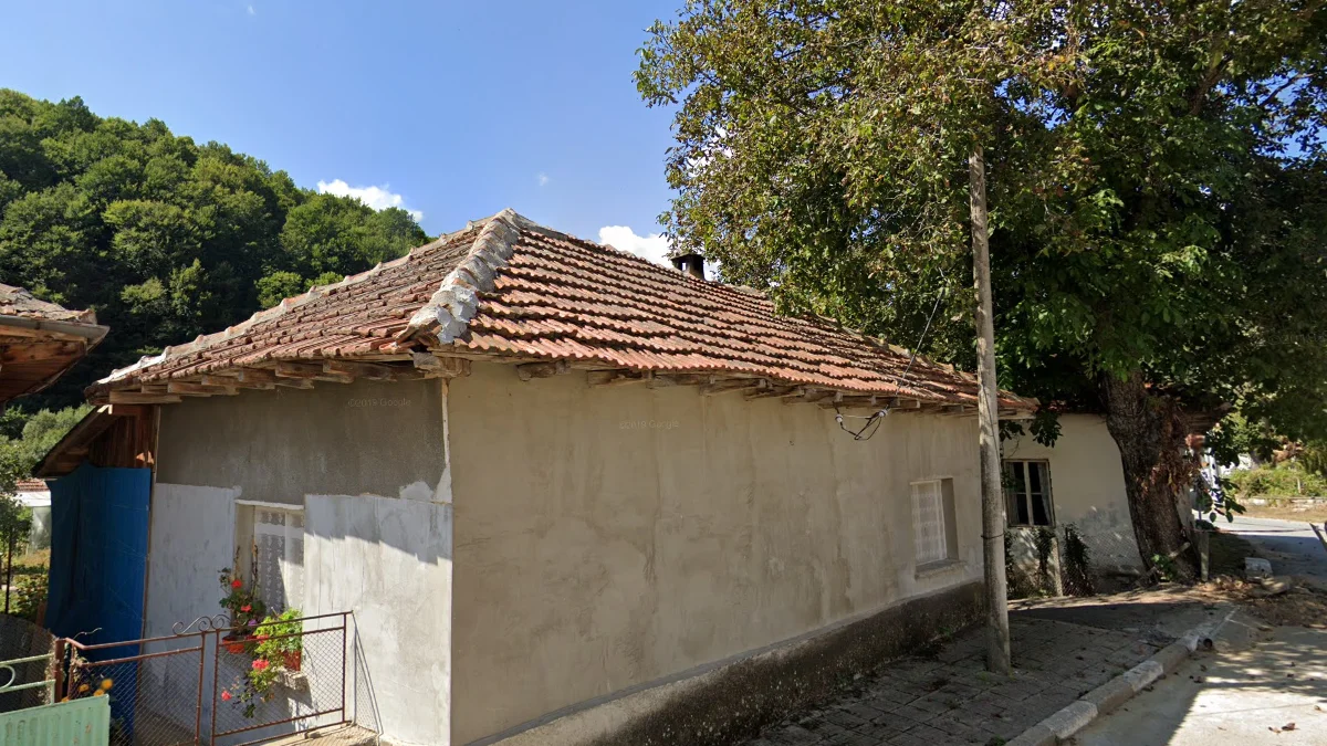 橘瓦屋頂水泥修補痕跡