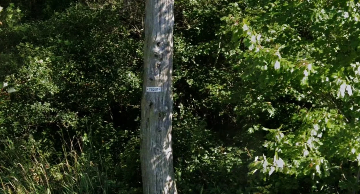 愛德華王子島電桿白色貼紙