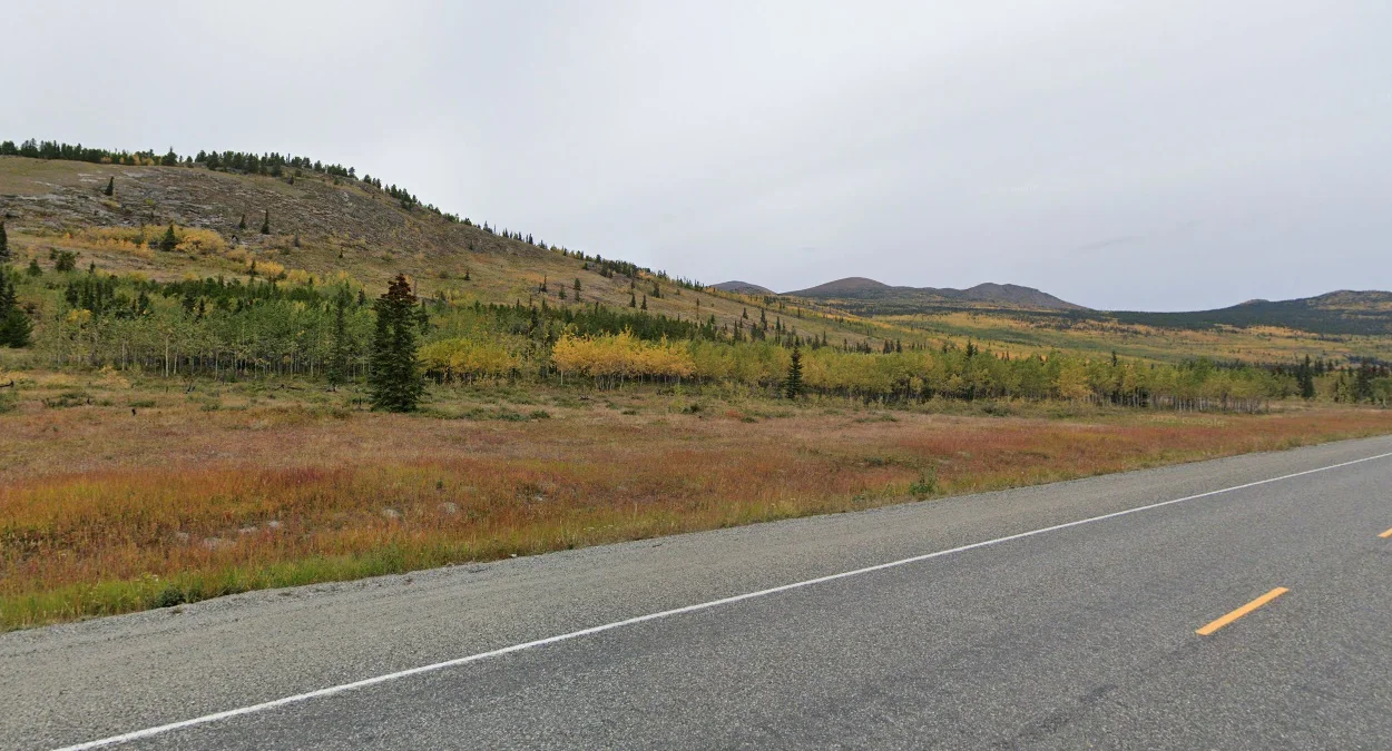 育空地區北方針葉林景觀