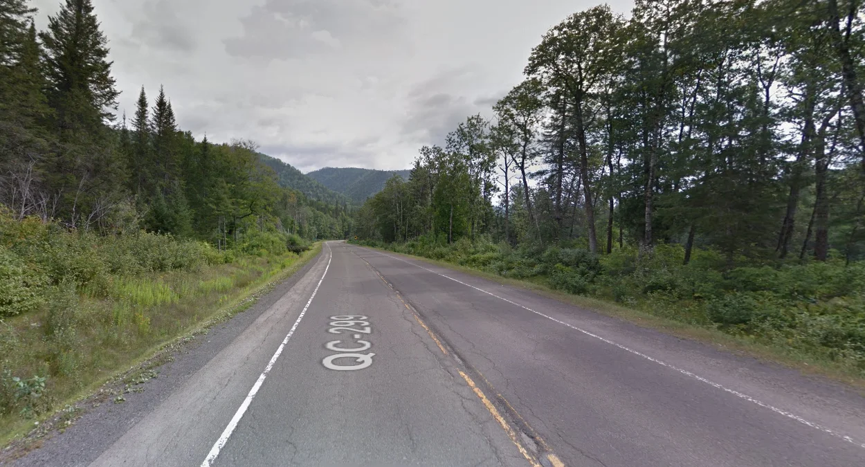 加斯佩半島內陸山區森林