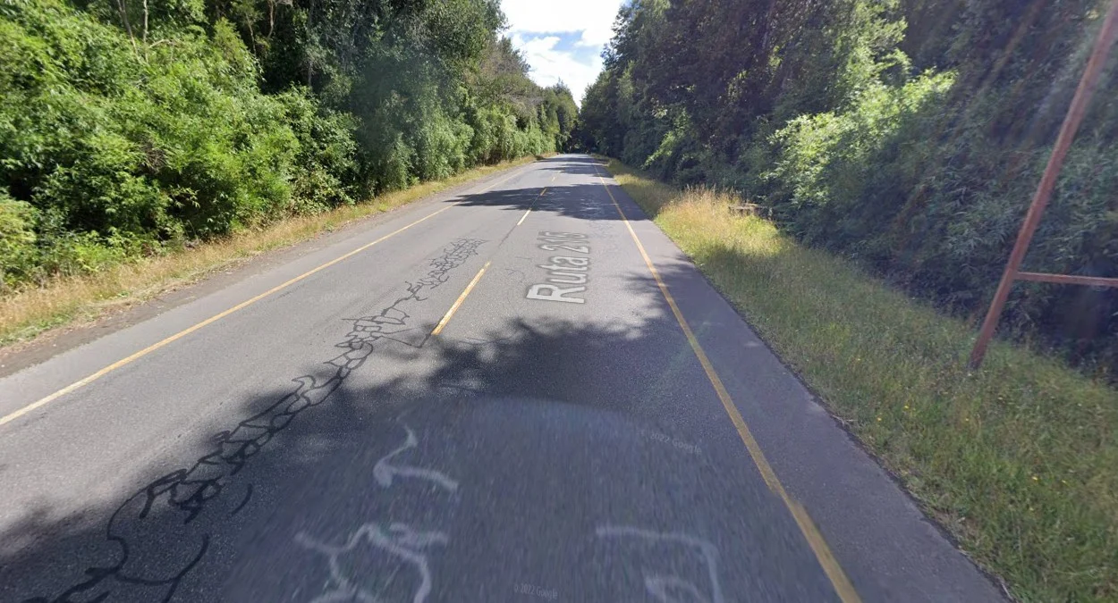 普耶韋國家公園植被