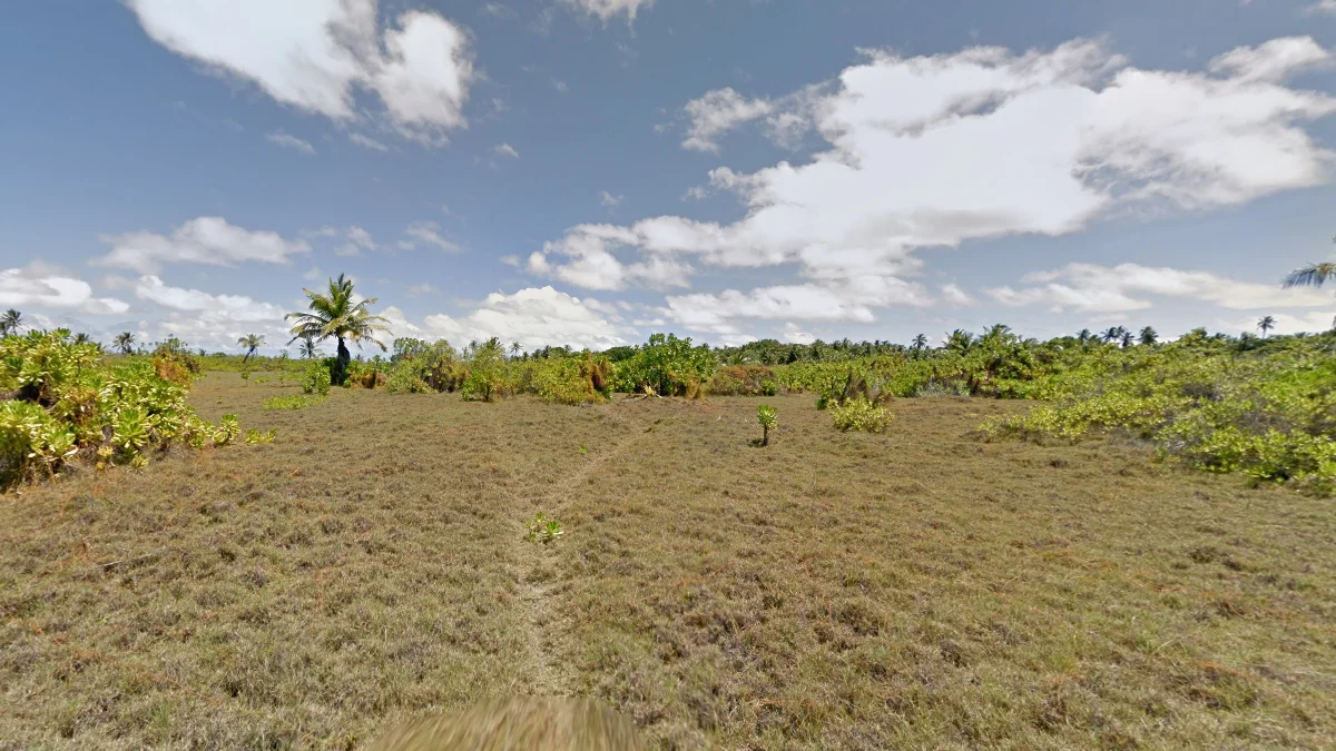 霍斯堡島乾燥黃草與稀疏植被