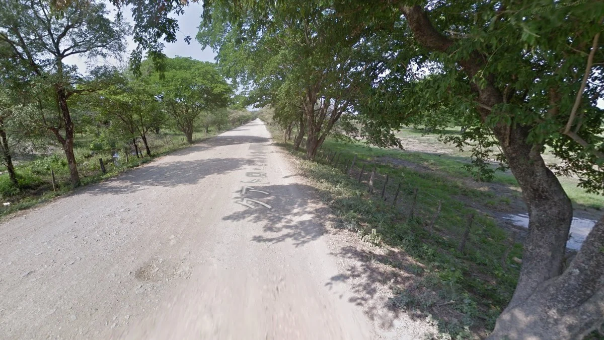 北部白色沙質土壤與乾旱景觀