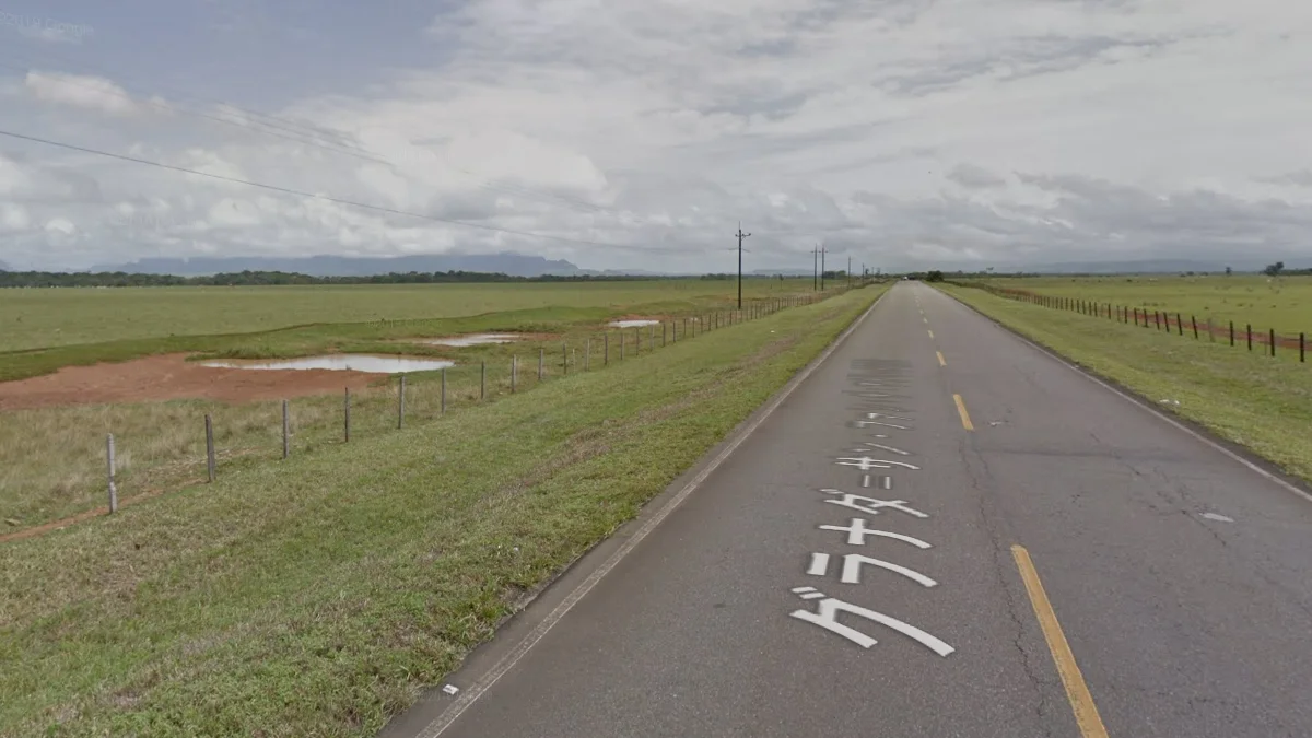 安第斯山脈以東廣闊利亞諾斯低地