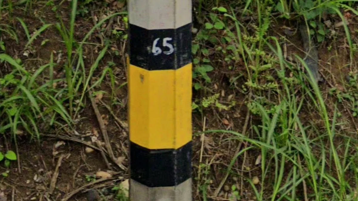 安蒂奧基亞省電線桿黃色中段標記