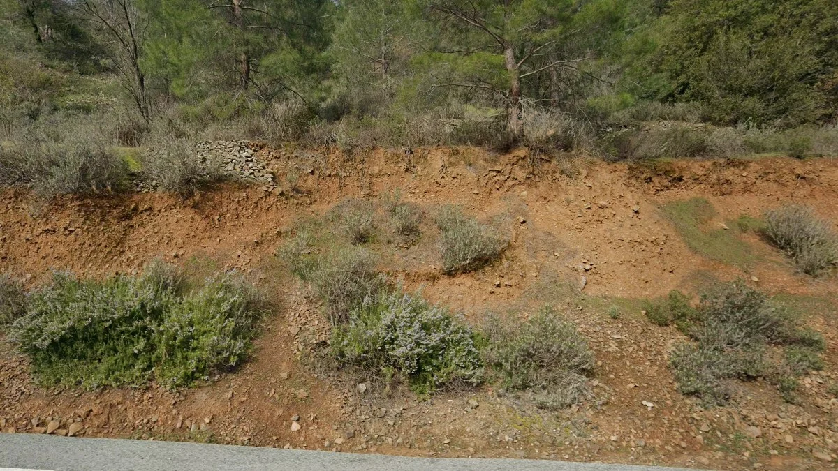 內陸與西北部紅色土壤