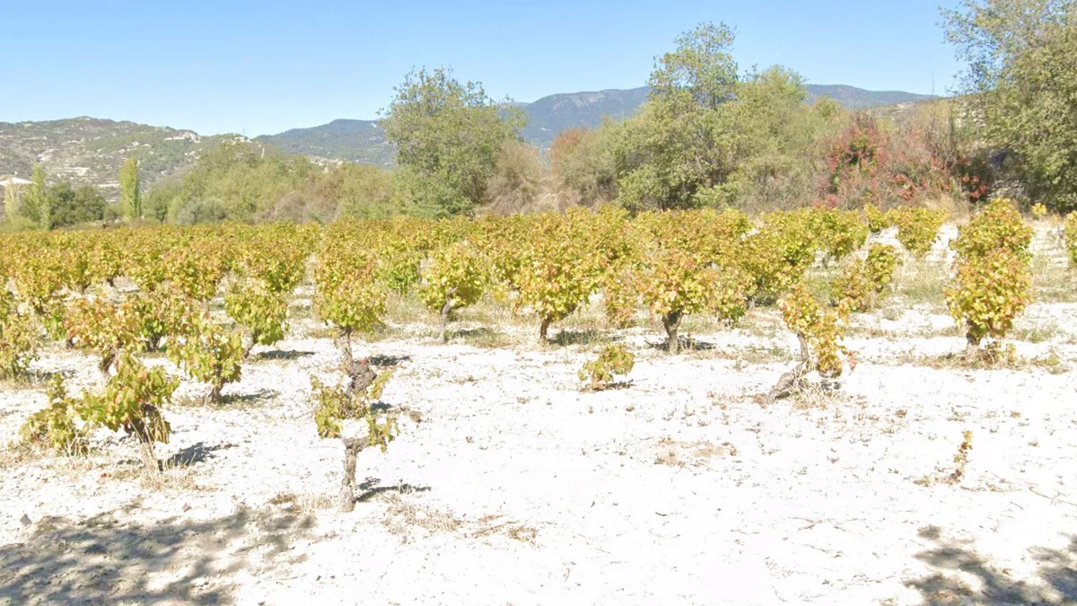 西南部葡萄園分佈