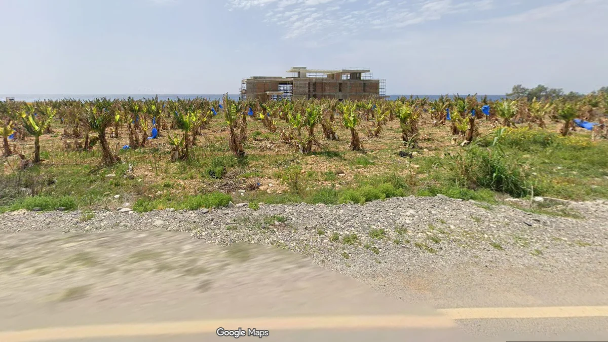 西部海岸香蕉種植園