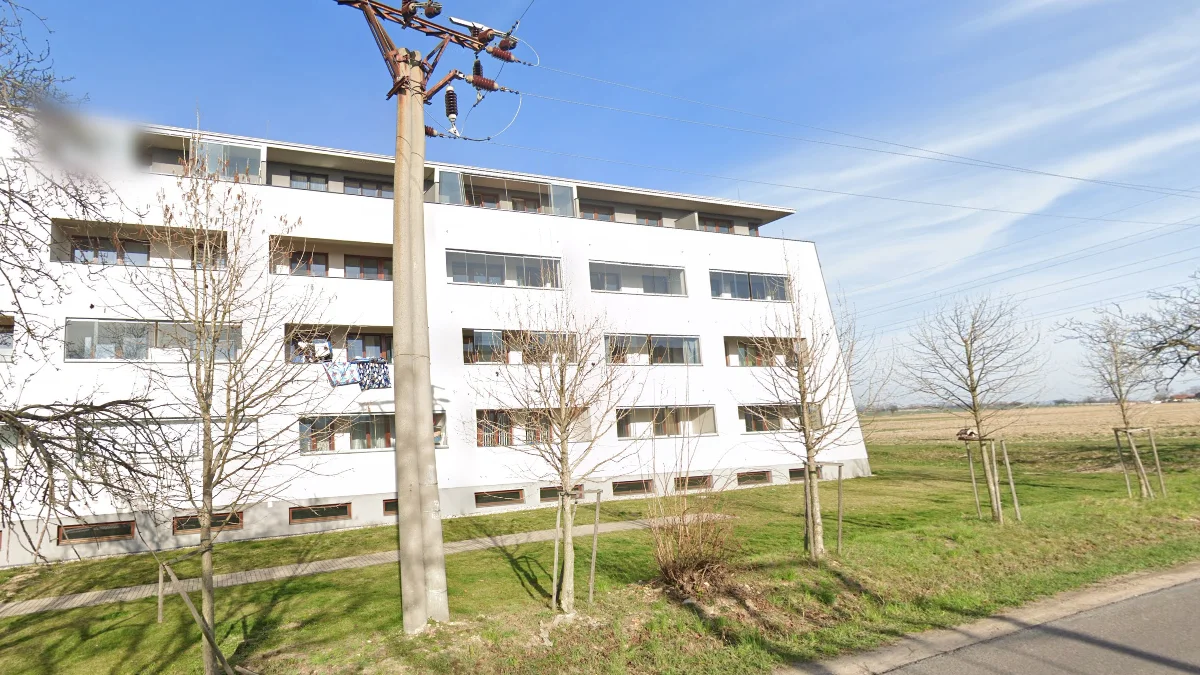 成對寬圓混凝土電線桿