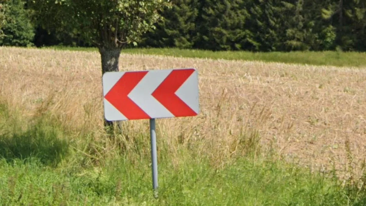 紅白箭頭V形標誌