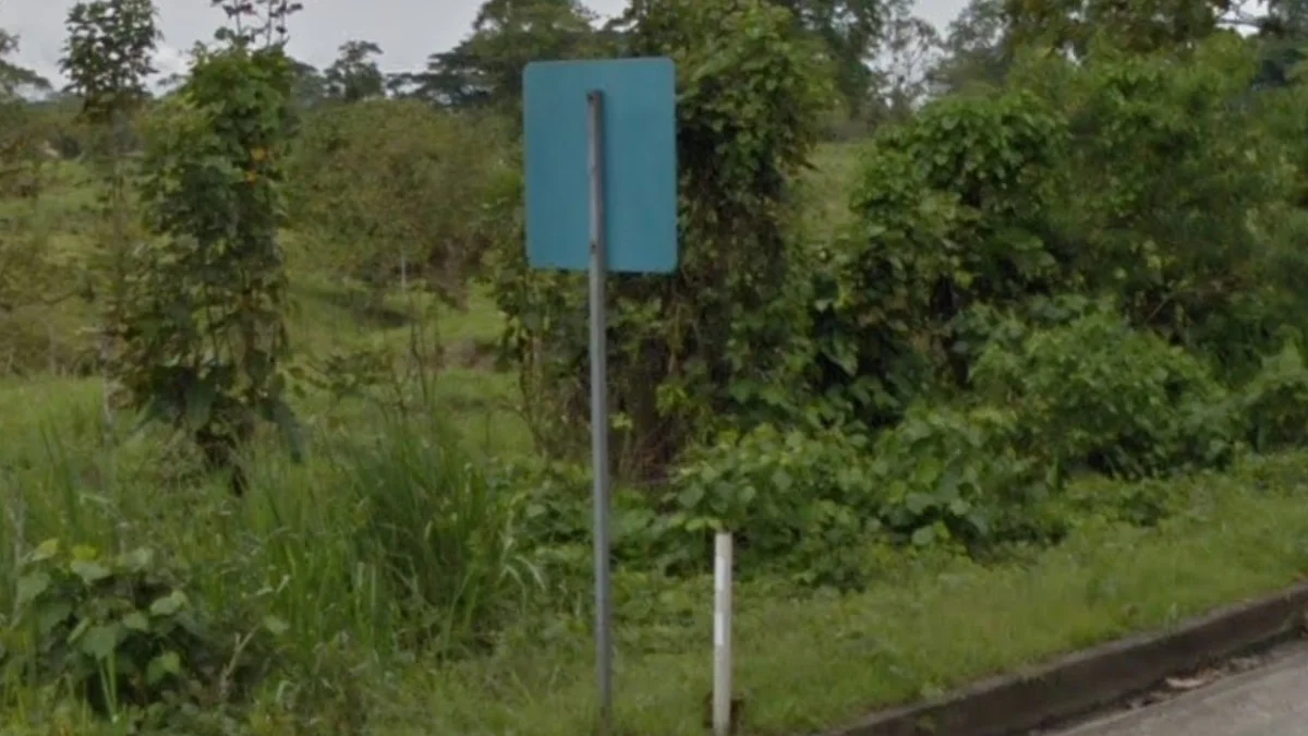 獨特的藍綠色標誌背面