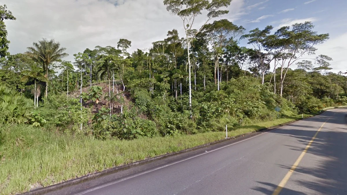 亞馬遜地區獨特地貌