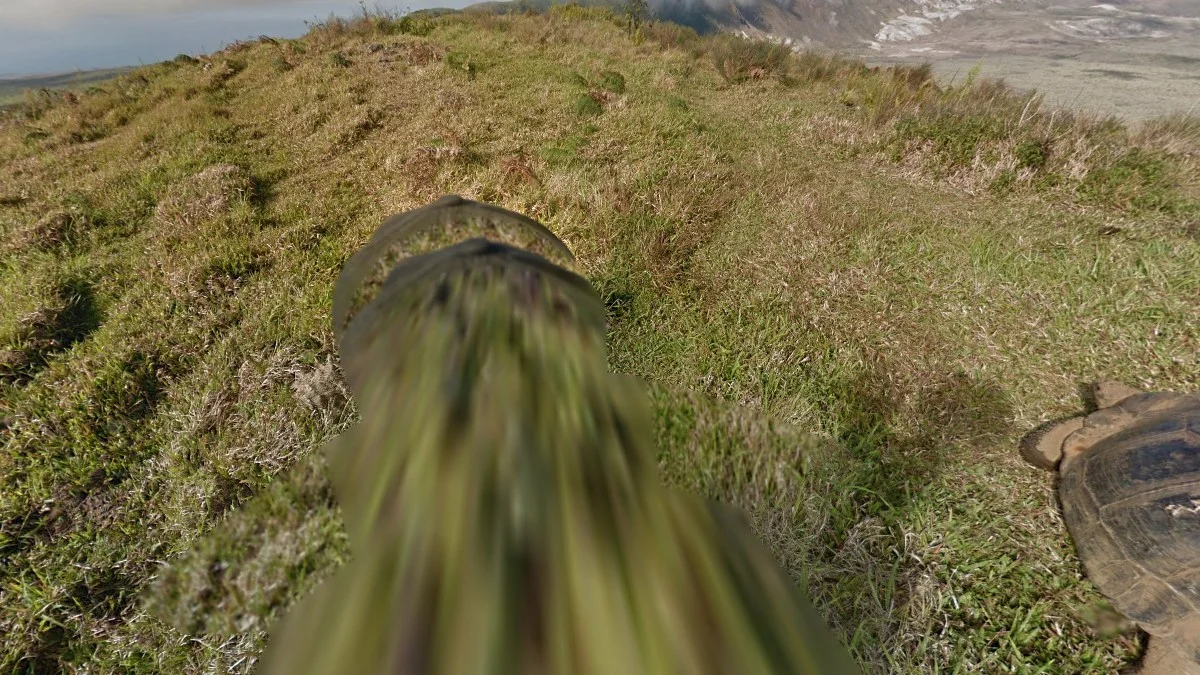 加拉巴哥群島徒步街景