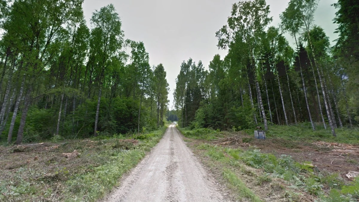 第三代街景綠色模糊