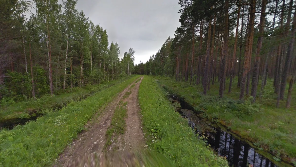 廣泛的鄉村道路覆蓋