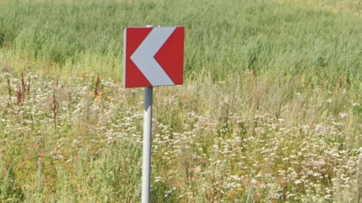 紅底白箭人字形標誌