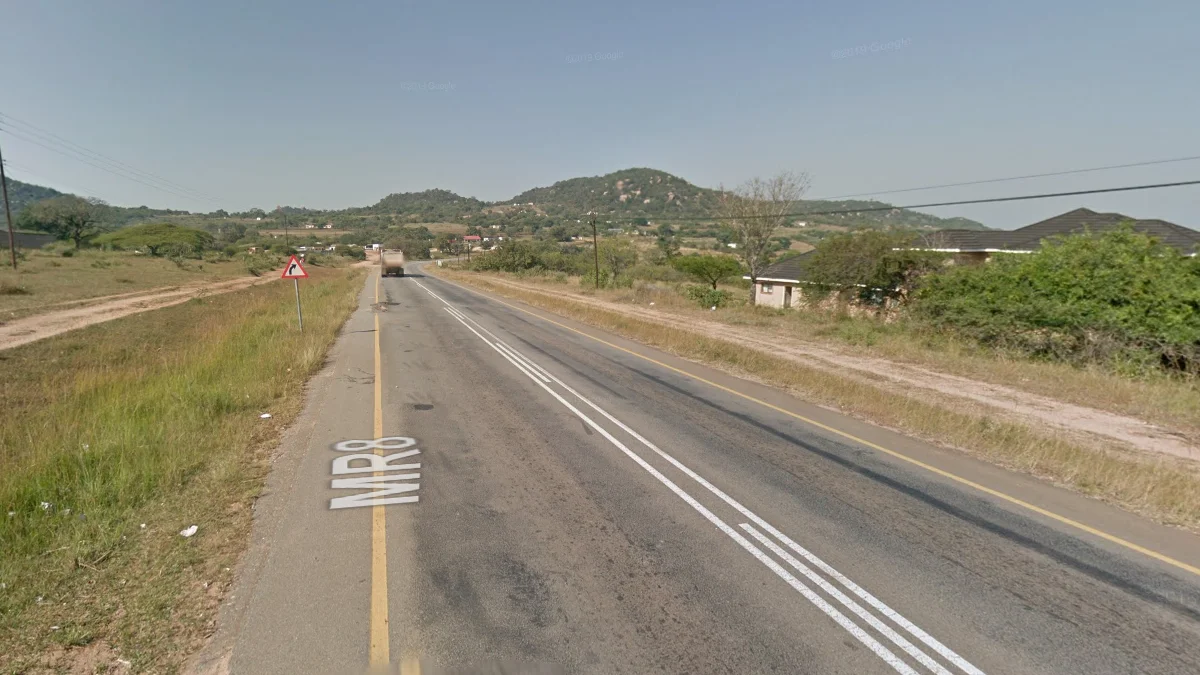 綠意山丘與金黃長草