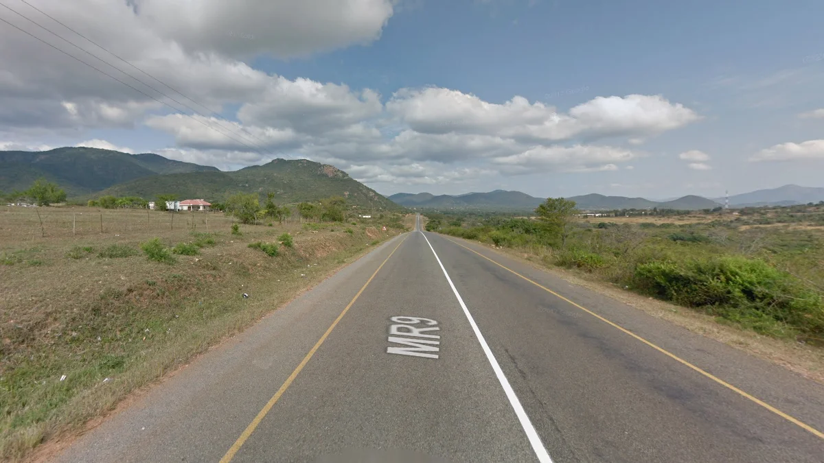 MR9公路沿線濃密綠意